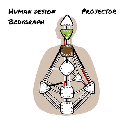 Projector. Human Design BodyGraph. Nine colored energy centers. Vector illustrationのイラスト素材