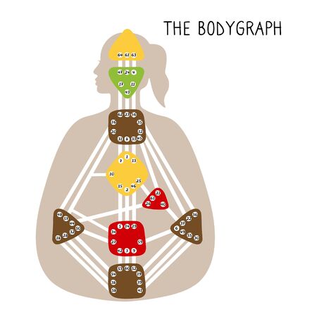 Human Design BodyGraph. Nine colored energy centers. Hand drawn graphicのイラスト素材