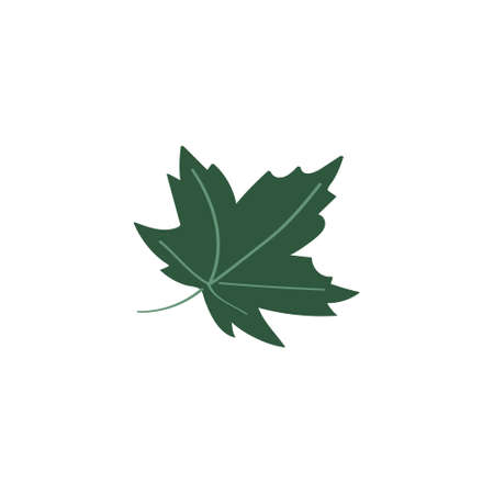 Maple leaf icon. Cute colored flat doodle vector illustrationのイラスト素材