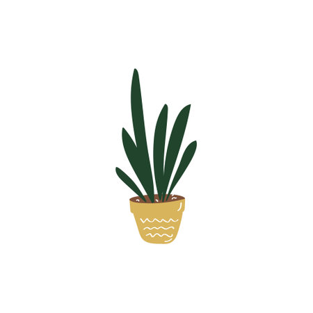 Sansevieria sign. House plant. Flowers in pot. Hand drawn vector doodle illustrationのイラスト素材