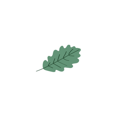 Oak leaf doodle icon. Vector colored flat hand drawn illustrationのイラスト素材
