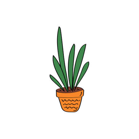 Sansevieria sign. House plant. Flowers in pot. Hand drawn vector doodle illustrationのイラスト素材