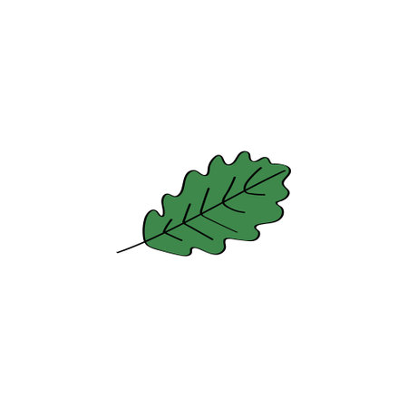 Oak leaf doodle icon. Vector hand drawn illustrationのイラスト素材