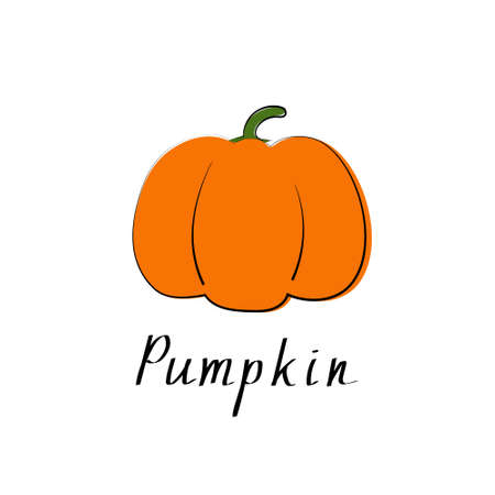 Pumpkin colorful icon. Isolated object. Organic vegetable food. Vector illustrationのイラスト素材