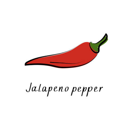 Jalapeno chili red pepper. Vector flat cartoon illustrationのイラスト素材