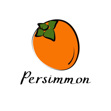 Persimmon vector cartoon flat illustration. Diospyros kaki sign. Fresh fruit and vegetable logo.のイラスト素材