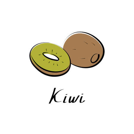 Kiwi vector cartoon flat illustration. Fresh fruit and vegetable logo.のイラスト素材