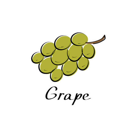 Grape vector cartoon flat illustration. Vine bunch. Fresh berry fruit and vegetable logo.のイラスト素材