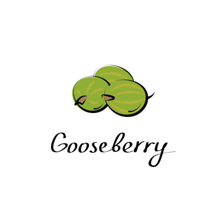 Gooseberry vector cartoon flat illustration. Indian gooseberry or amla amala sign. Fresh berry fruit and vegetable logo.のイラスト素材