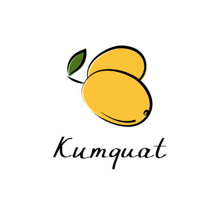 Kumquat vector cartoon flat illustration. Citrus fortunella sign. Fruit berry and vegetable logo.のイラスト素材