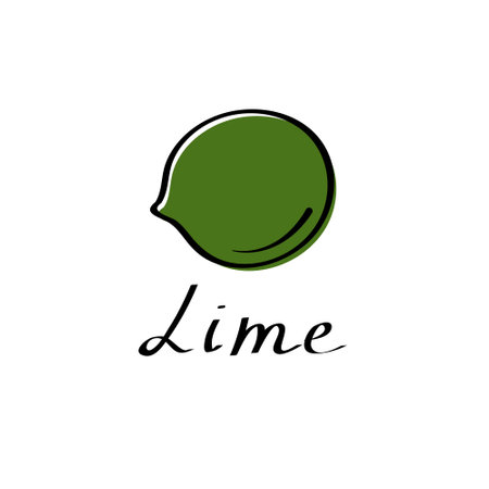 Lime vector cartoon flat illustration. Citrus sign. Fruit and vegetable logoのイラスト素材