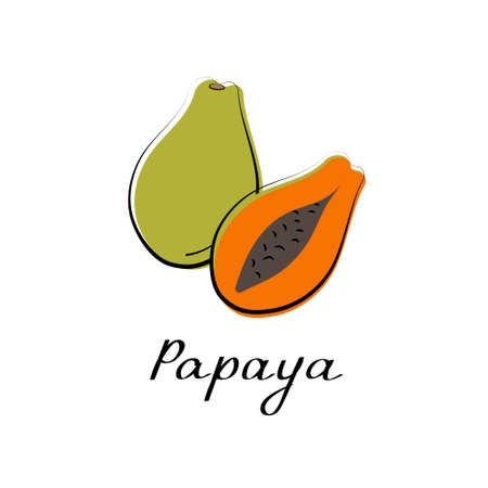 Papaya icon. Hand drawn vector isolated food icon. Illustration of tropical fruitのイラスト素材