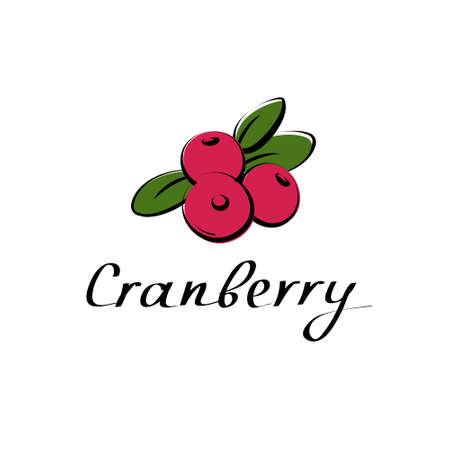Cranberry hand drawn illustration on white background. Vector illustration of berriesのイラスト素材