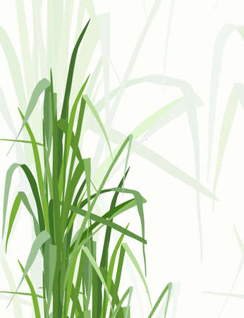 Floral design concept. Illustration with abstract leaves. trendy style.のイラスト素材