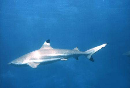 Original photo.の写真素材