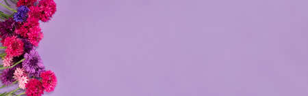 Banner with colorful wildflowers, pink, purple. High quality photoの写真素材