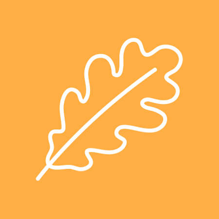white oak leaf, orange background, vector illustration, autumn season symbolのイラスト素材