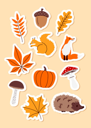 autumn sticker set, fall symbols, cute vector design elements for kidsのイラスト素材