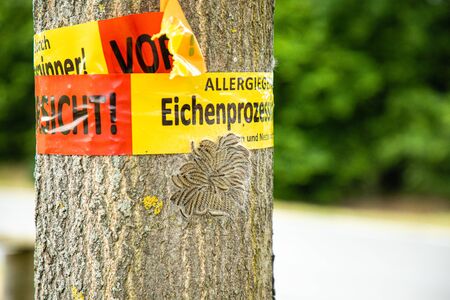 tree with german text vorsicht allergiegefahr durch eichenprozessionsspinner Raupen und Nester nicht berÃ¼hren, in englisch beware of danger of allergy due to the oak procession spinner Do not touch the caterpillars and nestsの写真素材