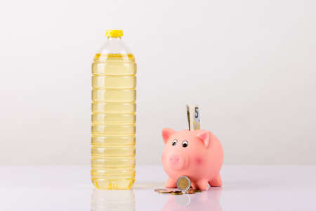 Piggy bank and bottle on white backgroundの写真素材