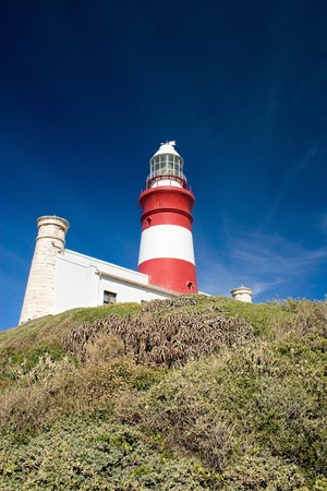 perspective shot of lighthouse against blue sky and plants in foreground,focus on building.At cape Agulhas,the southern most point of africaの写真素材