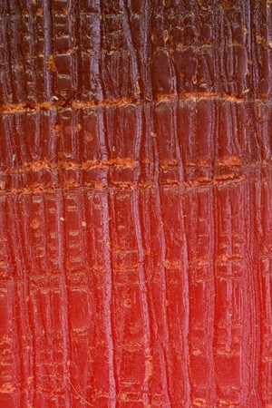 closeup of wax candle textureの写真素材