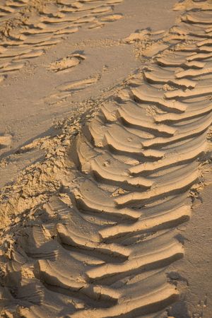 vehicle tracks on beach damaging the environment