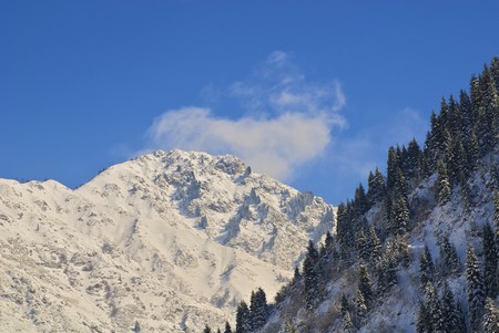 Excellent forms of winter nature