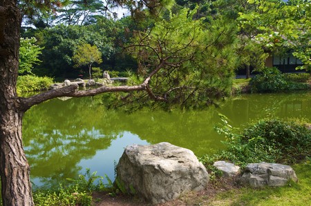 The Japanese garden in the Chinese park, Shenzhenの写真素材