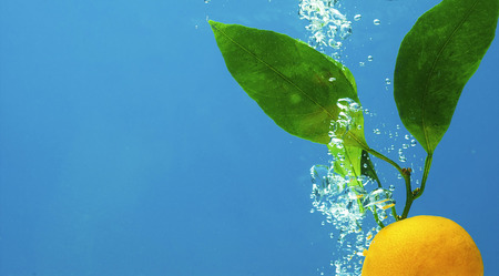 A series, fruit in water on a dark blue backgroundの写真素材