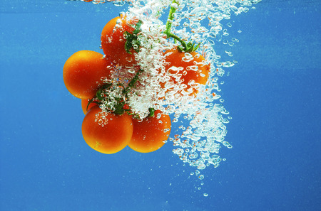 A series, vegetables in water on a dark blue backgroundの写真素材