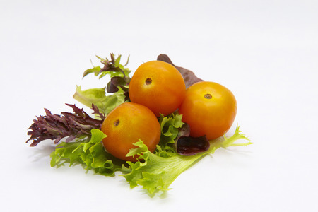 Tomato and salat.の写真素材