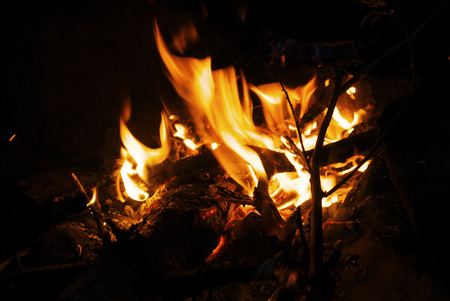 Burning fire in the dark