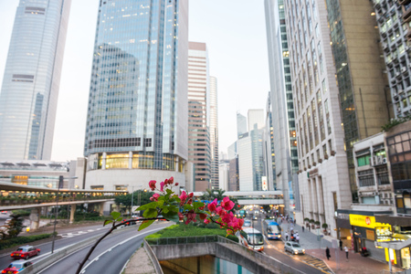 Hong Kong, China - October, 2015 : Cityscape of Hong Kong, China. ong Kong Special Administrative Region of the People's Republic of Chinaのeditorial素材