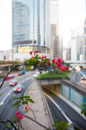 Hong Kong, China - October, 2015 : Cityscape of Hong Kong, China. ong Kong Special Administrative Region of the People's Republic of Chinaのeditorial素材