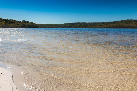 Brown Lake, North Stradbroke Island, Queensland, Australia.の写真素材