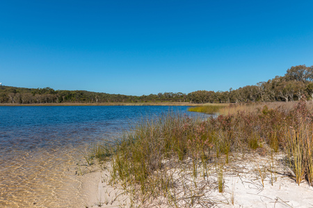 Brown Lake, North Stradbroke Island, Queensland, Australia.の写真素材