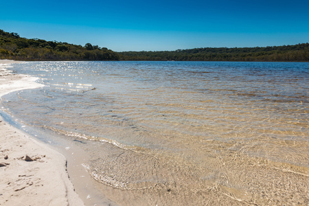 Brown Lake, North Stradbroke Island, Queensland, Australia.の写真素材