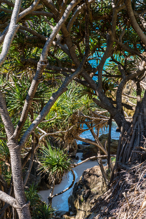 North Stradbroke Island, Queensland, Australia.の写真素材