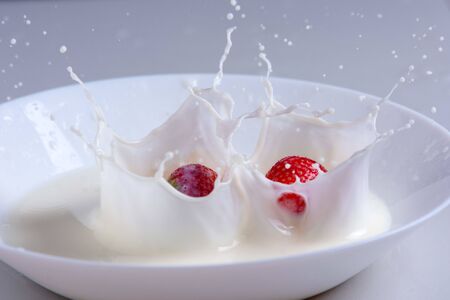 strawberries and berries falling into milk. Splash isolated on white backgroundsのeditorial素材