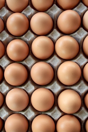 Chicken eggs in a trayの写真素材