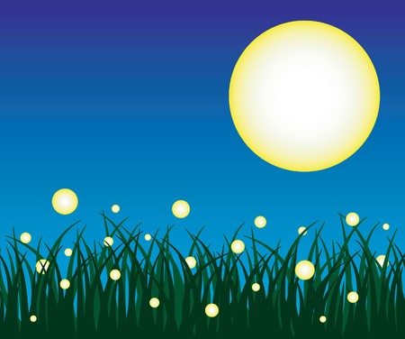 Firefly and grass with backgroundのイラスト素材