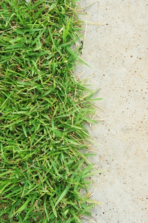 Green grass and concrete floorの写真素材