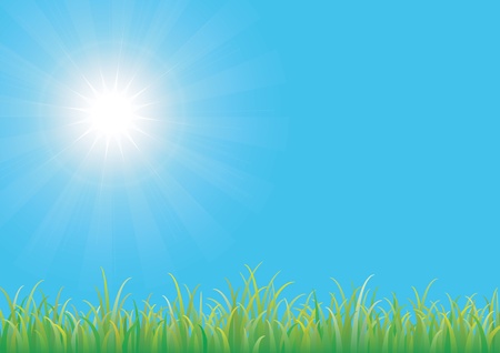 Blue sky with green grassのイラスト素材