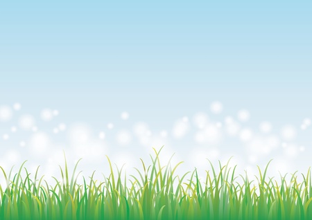 Blue sky with green grassのイラスト素材