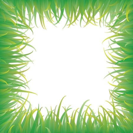 Green grass with background, Vectorのイラスト素材