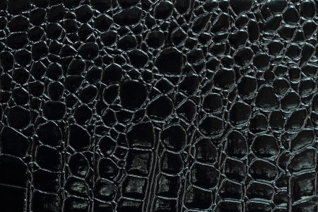 Black crocodile leather texture with for background