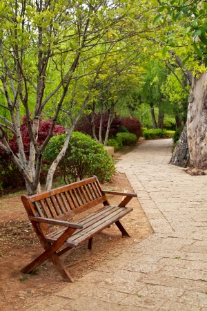 Bench in the park and path through a treeの写真素材