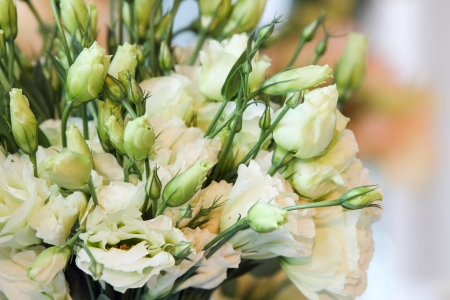 Bouquet of carnation flowers in glass vaseの写真素材