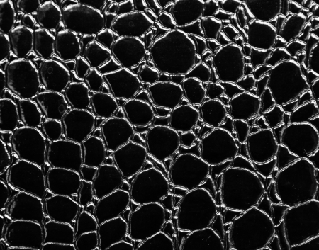 Black crocodile leather texture with の写真素材